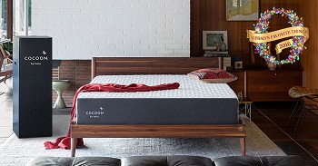 sealy-cocoon-mattress