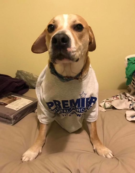 Premier RentalPurchase Opens in North Conway New Hampshire APRO